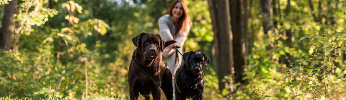 4a327501109266fcaa5324948ed2c5d468d0f077