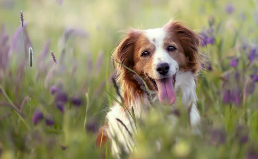 88c83327fcbe380c2404f17a0e717c0eaccbec61